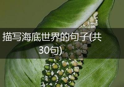 描写海底世界的句子(共30句)