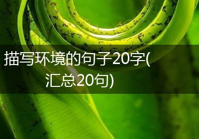 描写环境的句子20字(汇总20句)