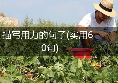 描写用力的句子(实用60句)