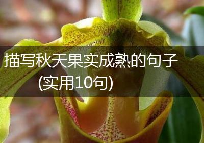 描写秋天果实成熟的句子(实用10句)