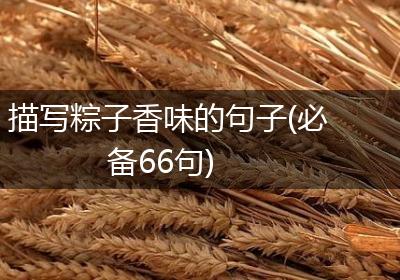 描写粽子香味的句子(必备66句)