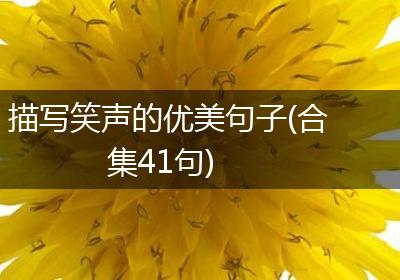 描写笑声的优美句子(合集41句)