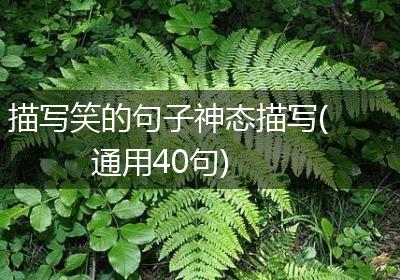 描写笑的句子神态描写(通用40句)