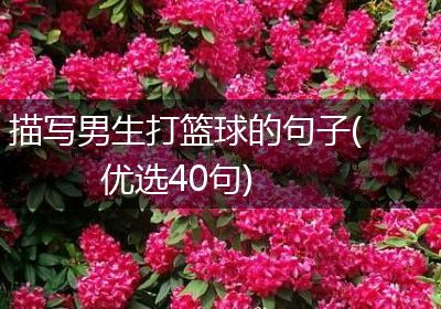 描写男生打篮球的句子(优选40句)