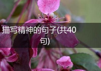描写精神的句子(共40句)