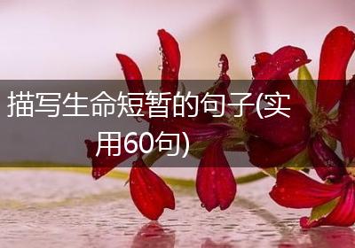 描写生命短暂的句子(实用60句)