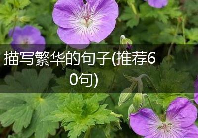 描写繁华的句子(推荐60句)