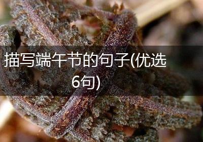 描写端午节的句子(优选6句)