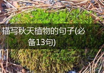 描写秋天植物的句子(必备13句)