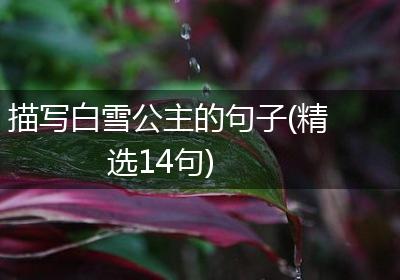 描写白雪公主的句子(精选14句)