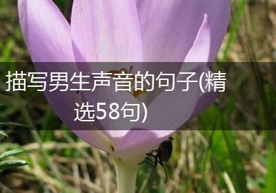 描写男生声音的句子(精选58句)