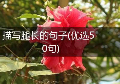 描写腿长的句子(优选50句)
