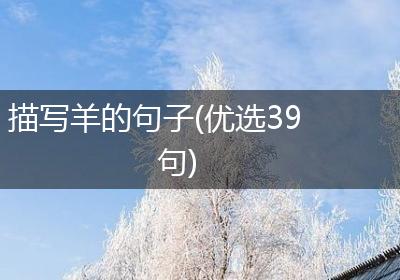 描写羊的句子(优选39句)