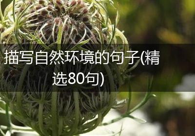 描写自然环境的句子(精选80句)