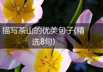 描写茶山的优美句子(精选8句)