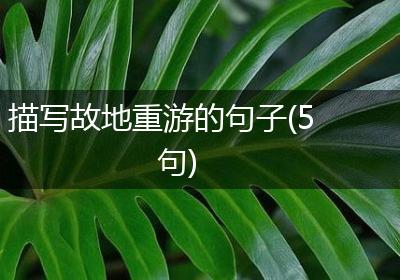 描写故地重游的句子(5句)