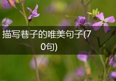 描写巷子的唯美句子(70句)