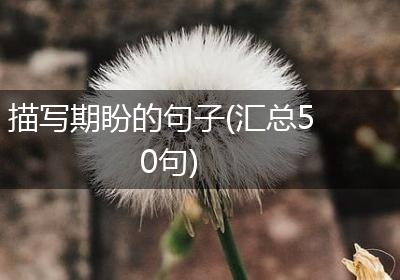 描写期盼的句子(汇总50句)