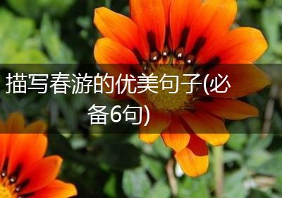 描写春游的优美句子(必备6句)