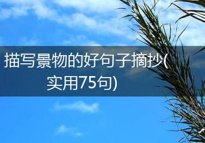 描写景物的好句子摘抄(实用75句)
