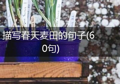 描写春天麦田的句子(60句)