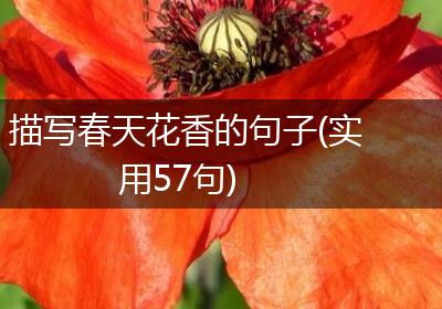 描写春天花香的句子(实用57句)
