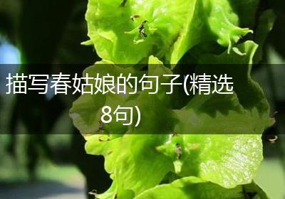 描写春姑娘的句子(精选8句)
