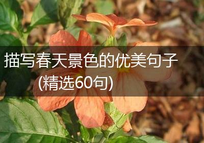 描写春天景色的优美句子(精选60句)