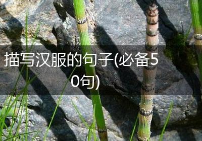 描写汉服的句子(必备50句)