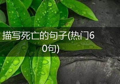 描写死亡的句子(热门60句)