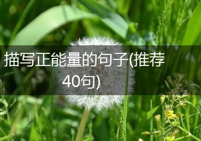 描写正能量的句子(推荐40句)