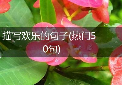 描写欢乐的句子(热门50句)