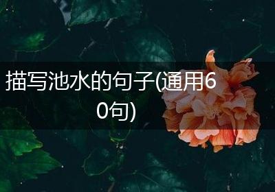 描写池水的句子(通用60句)