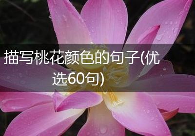 描写桃花颜色的句子(优选60句)