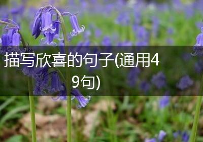 描写欣喜的句子(通用49句)