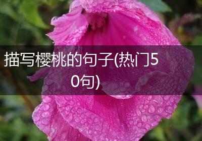 描写樱桃的句子(热门50句)
