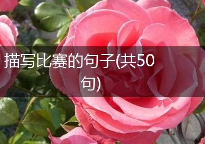 描写比赛的句子(共50句)