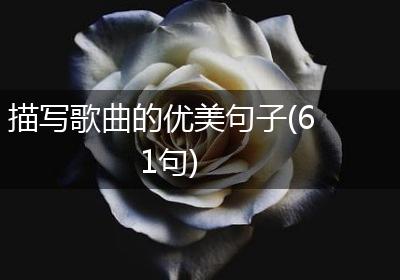 描写歌曲的优美句子(61句)