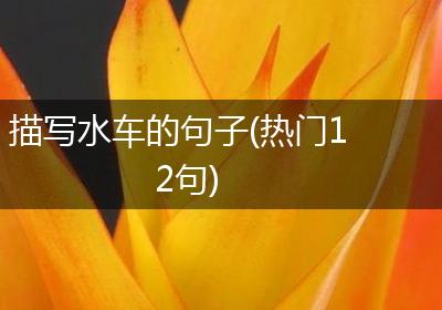 描写水车的句子(热门12句)