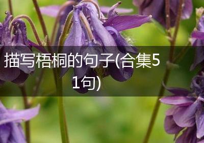 描写梧桐的句子(合集51句)