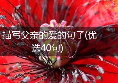 描写父亲的爱的句子(优选40句)