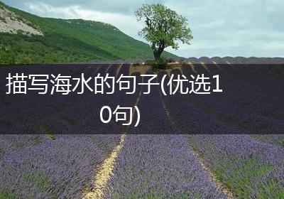 描写海水的句子(优选10句)