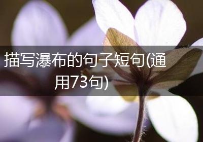 描写瀑布的句子短句(通用73句)