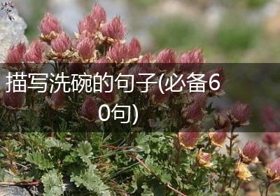 描写洗碗的句子(必备60句)