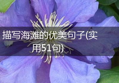 描写海滩的优美句子(实用51句)