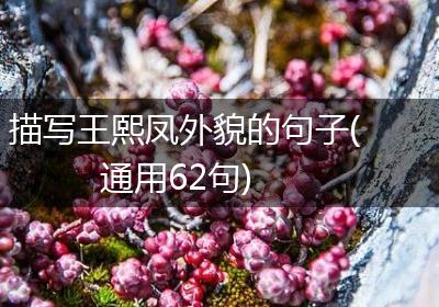 描写王熙凤外貌的句子(通用62句)