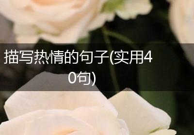 描写热情的句子(实用40句)