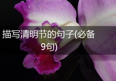 描写清明节的句子(必备9句)