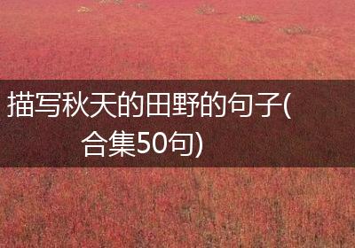 描写秋天的田野的句子(合集50句)