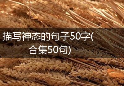 描写神态的句子50字(合集50句)